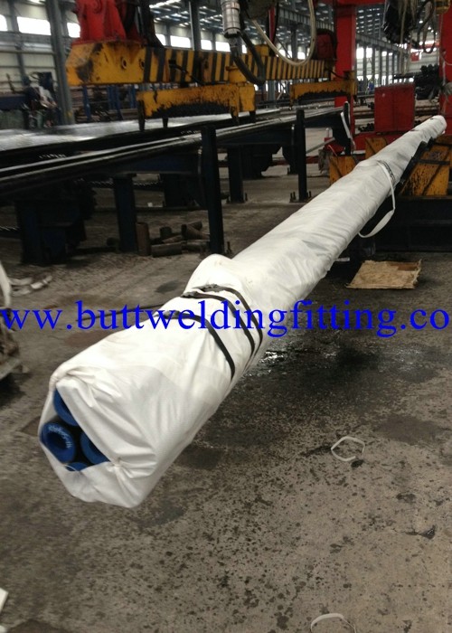 ANSI B36.10  ANSI B36.19 Sch 10 Stainless Steel Pipe / Stainless Steel Schedule 40 Pipe