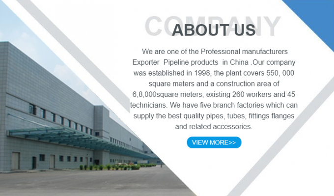 METAL Kualitas tinggi 304 stainless steel Pipe Fitting Solid Square Head Plug 1/2/3/4/6 Titik NPT1/2 7