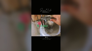 Siku Baja Tahan Karat Dipoles 316L Premium