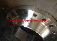 Corrosion Resistance Forged Steel Flanges