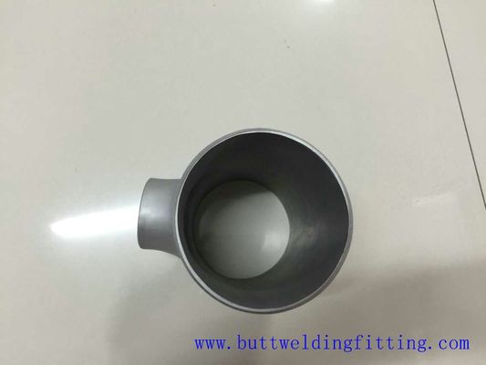 150 PSI Stainless Steel Swivel Polished Finish for ASME Standard Sch 10s Wall
