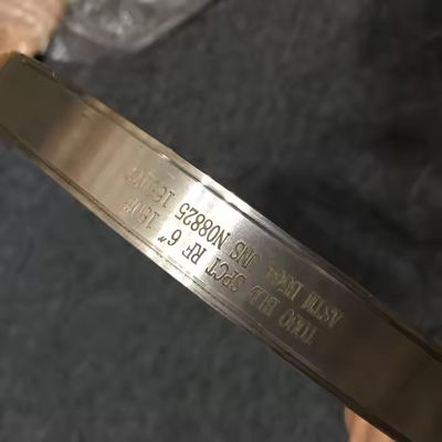 Customized Forged Steel Flanges for Nickel Alloy Super Stainless Steel Materials