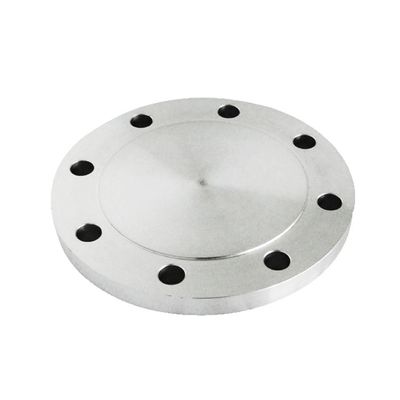 Stainless Steel 304 304L 316L 316 Metal Flange Rtj Floor Flange